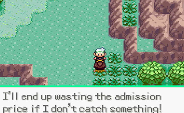 Pokemon Emerald 2005 GBA Gameplay Screenshot