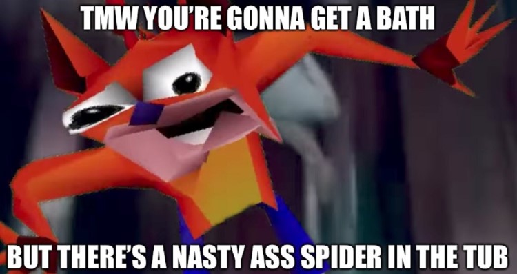 That moment when youre gonna get a bath but there's a spider in the tub - Crash Bandicoot face meme