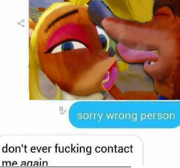 Crash Bandicoot text meme - sorry wrong person