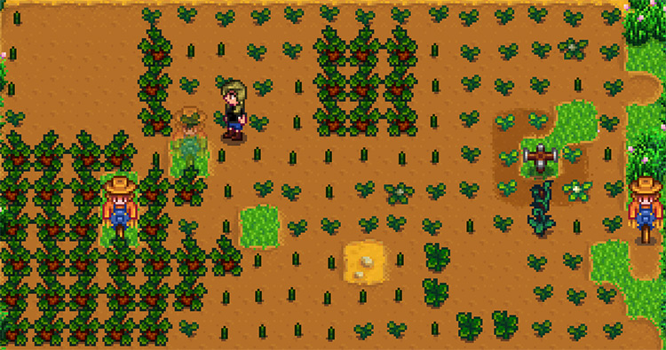 Best Stardew Valley Texture   Visual Mods  All Free    FandomSpot - 41