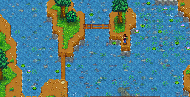 Visible Fish / Stardew Valley mod screenshot