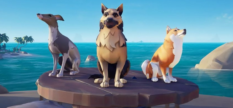 Sea of Thieves Dogs Preview Screenshot