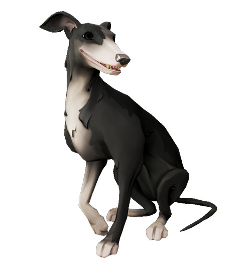 Silverfoot Whippet Dog / Sea of Thieves