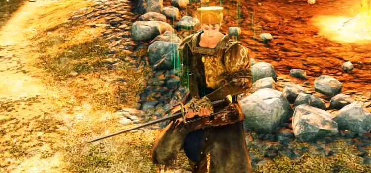 DS2 Character with Rapier Weapon