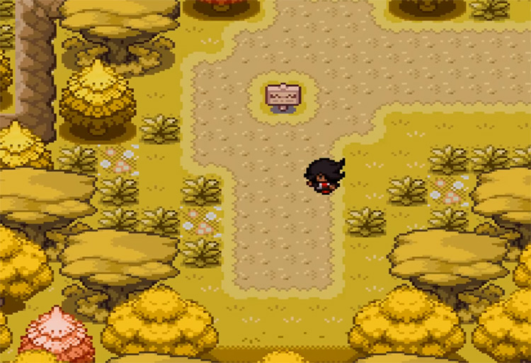 Pokémon Rejuvenation ROM Hack Screenshot