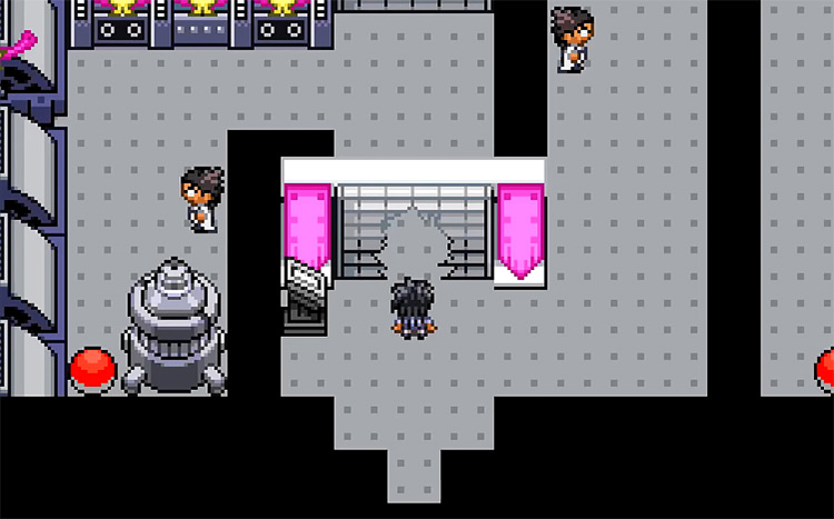 Pokémon Reborn Fangame Screenshot
