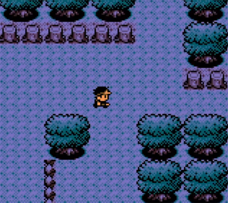 Pokémon Bronze 2 GBC ROM Hack Screenshot