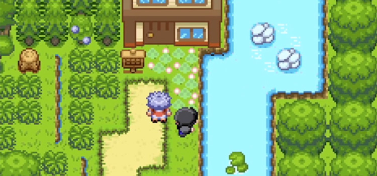 Pokemon HeartGold ROM - Pokemon ROMs