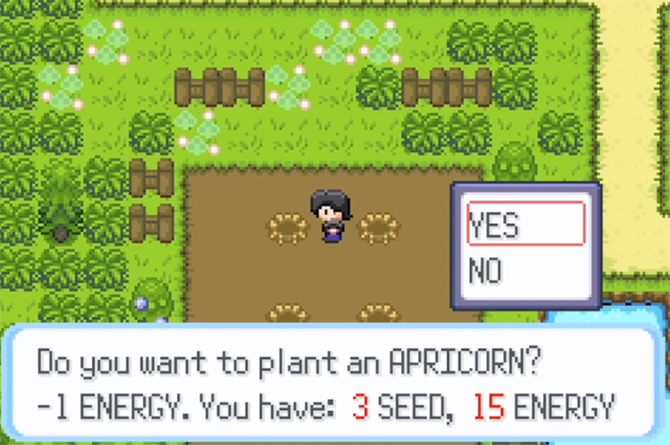 Pokémon HarvestCraft ROM Hack / Planting Apricorn Screenshot