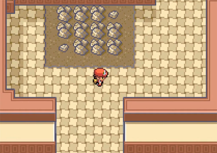 Pokémon Clover ROM Hack Game Screenshot