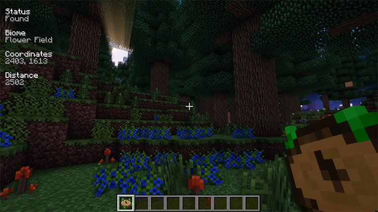 Nature's Compass Mod for Minecraft