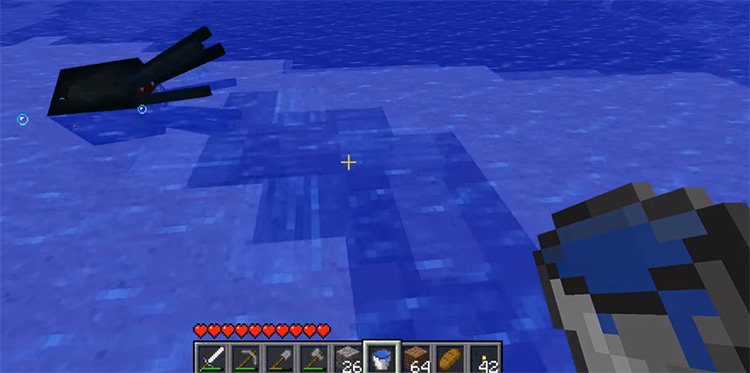 SquidMilk / Black Squid in Minecraft