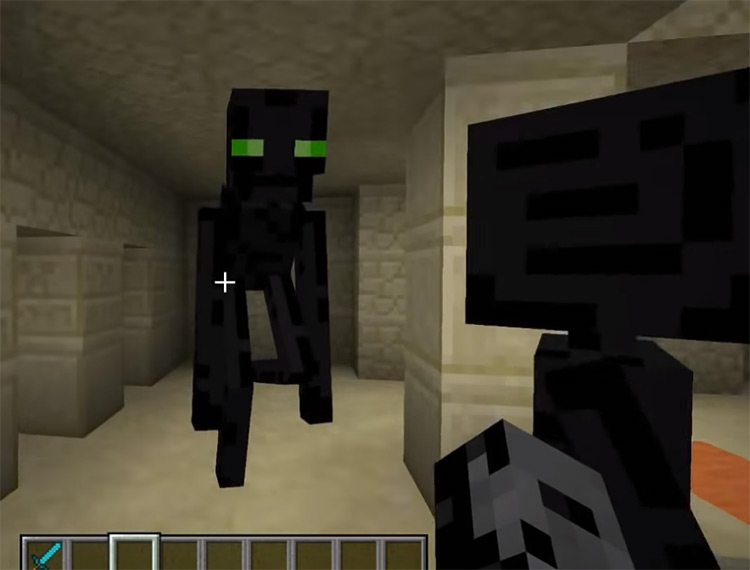 Endermen are Friends Mod for Minecraft