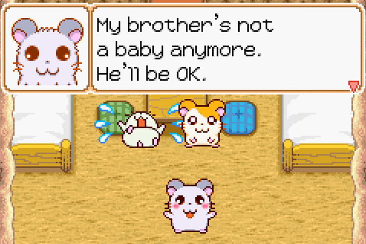 Hamtaro: Ham-Ham Heartbreak / GBA gameplay