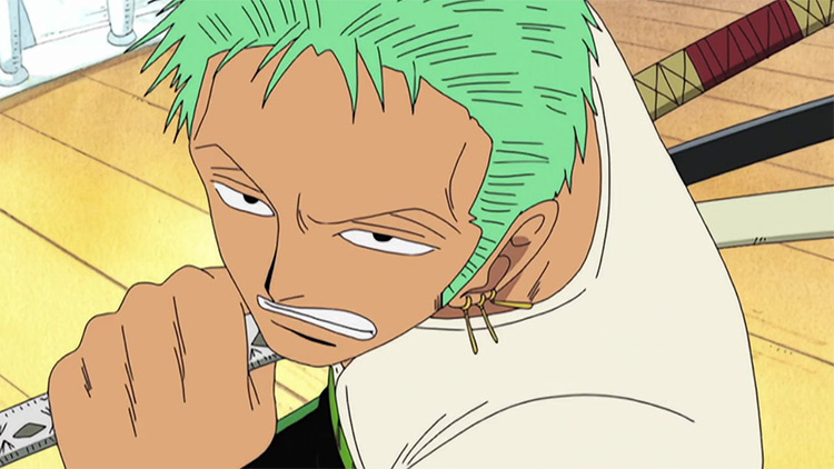 Zoro Roronoa from One Piece anime