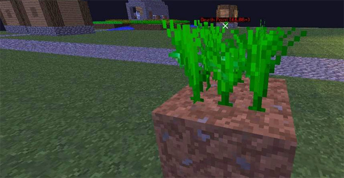 Carrot growing in Minecraft