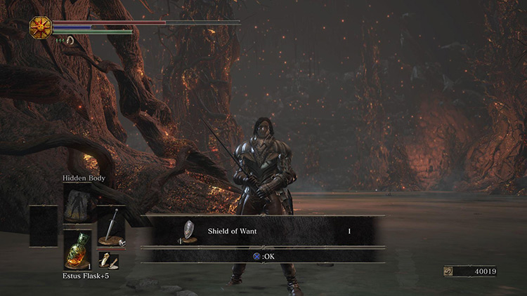 Collecting the Shield of Want from the corpse in the lake / DS3