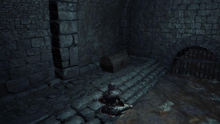 The Mimic chest that holds the Dark Clutch Ring in Irithyll Dungeon / DS3