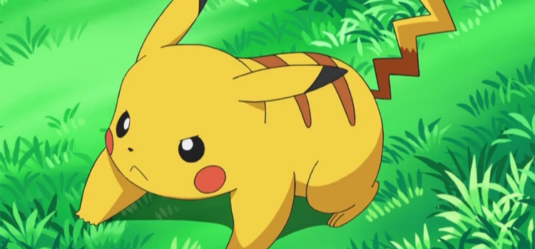 Pikachu anime close-up