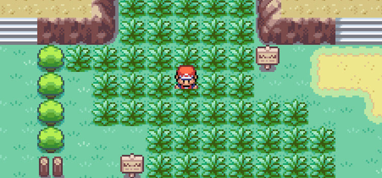 In Area 2 of the Safari Zone (FireRed)