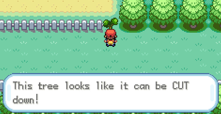Cutting down the tree west of Celadon City / Pokémon FireRed & LeafGreen