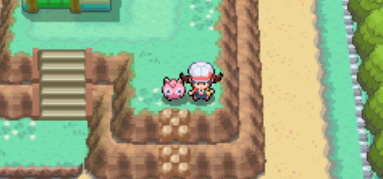Near the Daycare on Route 5 for the Cleanse Tag (HeartGold)