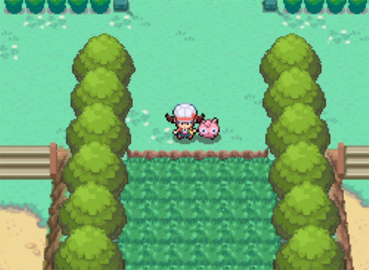 The jump-able ledge and long grass on Route 5 / Pokemon HGSS