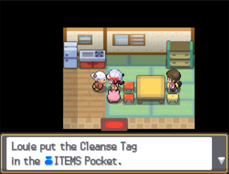 The old lady inside the old Pokémon Day Care giving the player the Cleanse Tag / Pokemon HGSS
