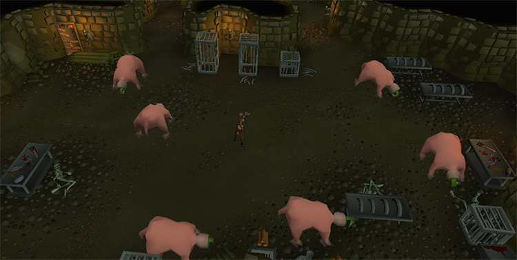 The best room to cannon mutated bloodveld / Old School RuneScape