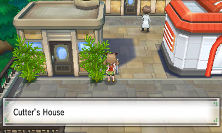 In front of the Cutter’s House / Pokémon ORAS
