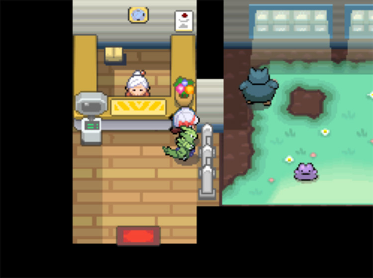 A Snorlax in the Pokémon Day Care with a Ditto / Pokemon HGSS