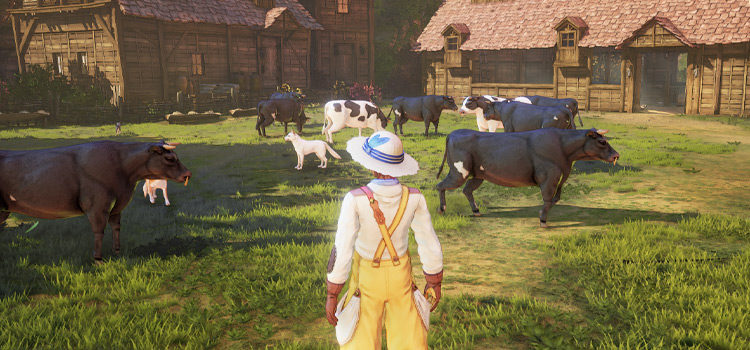 Where To Get Beef in Tales of Arise (Locations + Uses)
