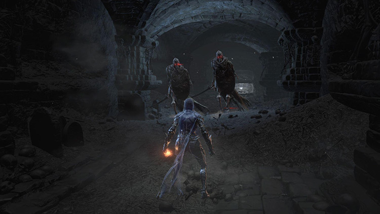 Gravewarden Skeletons, the goals of the farm / Dark Souls 3