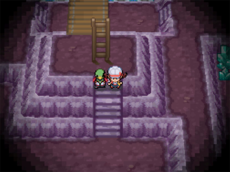 The ladder at the top of the steep staircase in Cerulean Cave / Pokemon HGSS