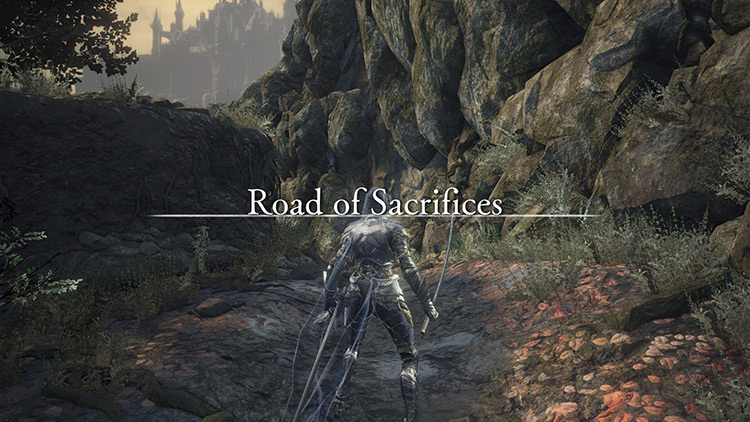 The entrance to the Road of Sacrifices / DS3