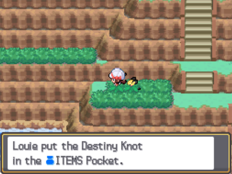 The location of the Destiny Knot on Route 27 / Pokemon HGSS