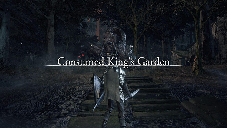 The entrance to the Consumed King’s Garden / Dark Souls 3