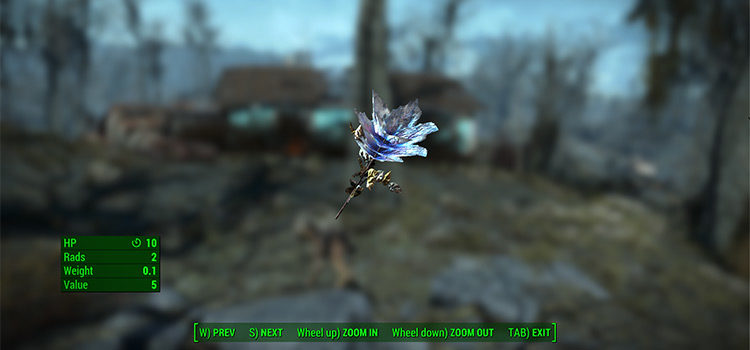 How To Farm Hubflowers in Fallout 4