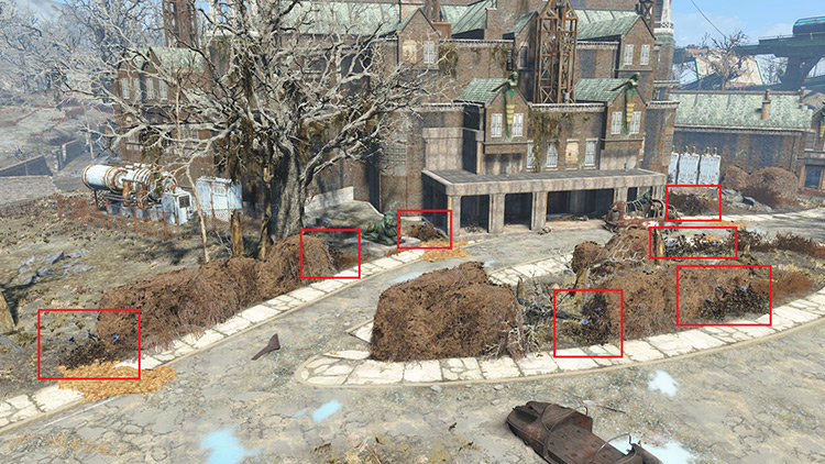 The location of a few of the bushes found in Parsons State Insane Asylum. / Fallout 4