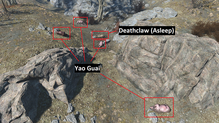 Where to find all the dead Yao Guai and the Deathclaw, close to Coastal Cottage. / Fallout 4