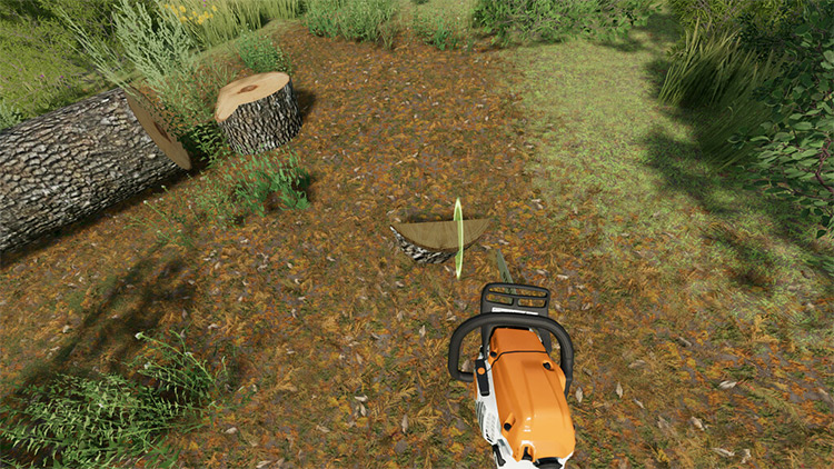 Lumberjack / Farming Simulator 22 Mod