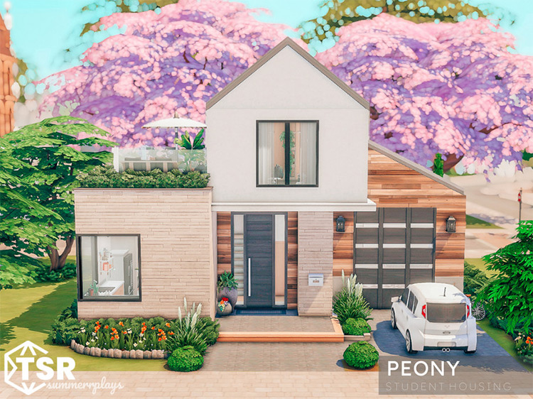 Peony Student Housing / Sims 4 Lot