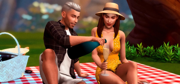 Picnic for two Pose pack (TS4)