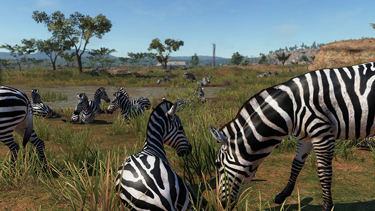 Zebra in MGS5 Phantom Pain