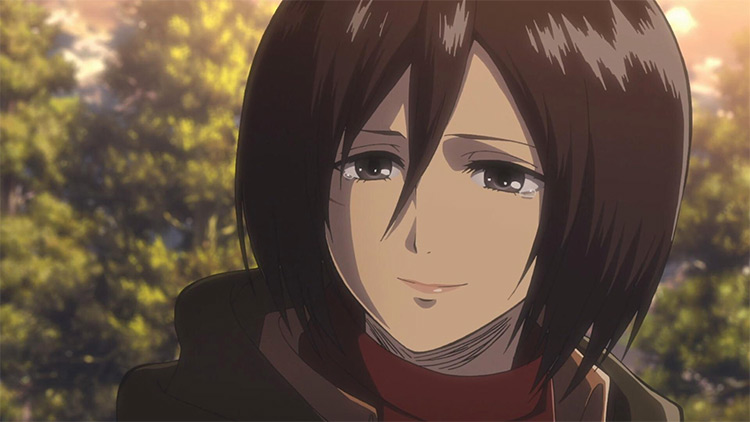 Mikasa Ackerman from Attack on Titan