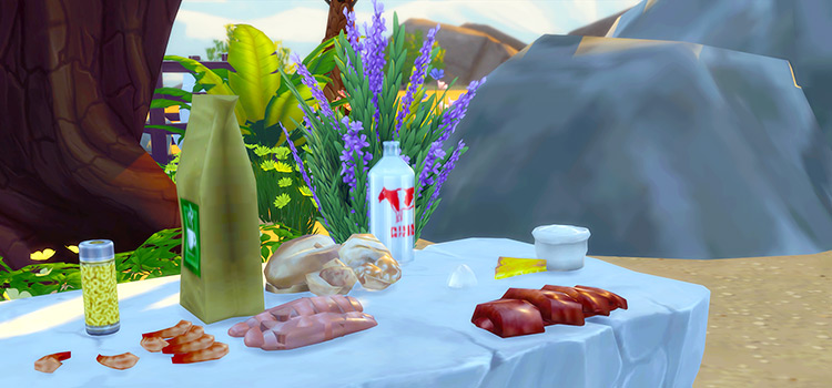 the sims 4 no food