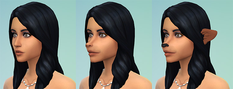 Funniest   Weirdest Sims 4 Mods In Existence   FandomSpot - 35