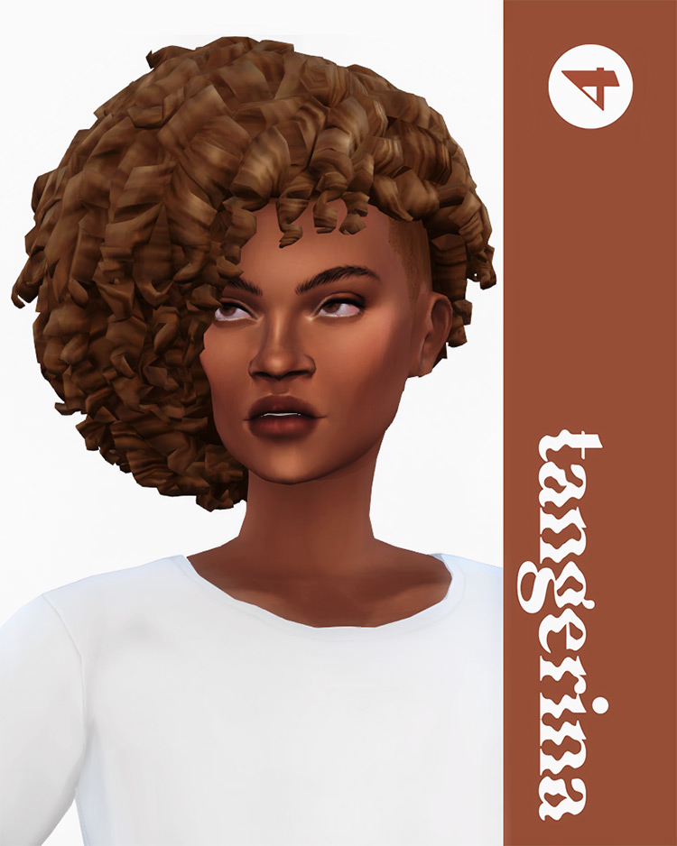 ethnic hair sims 4 cc