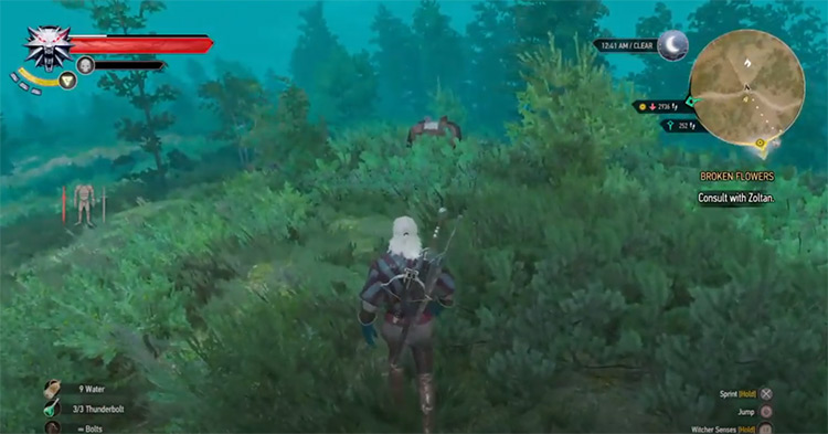witcher 3 increase carry weight
