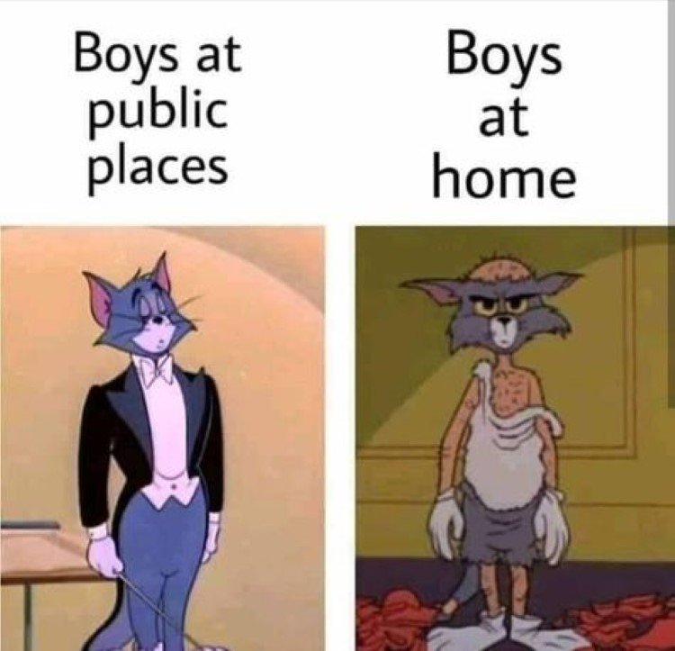 Boys in public vs boys at home, Tom cat meme